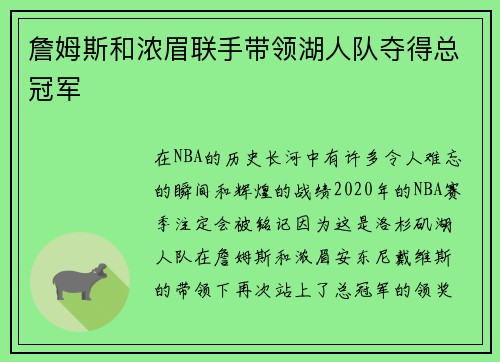 詹姆斯和浓眉联手带领湖人队夺得总冠军
